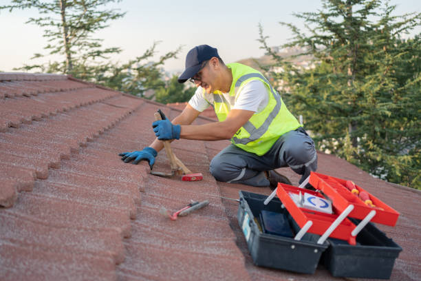 Best Tile Roofing Contractor  in Midway North, TX